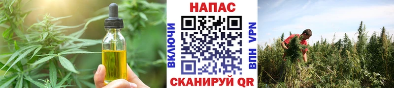 Cannafood конопля Нижнекамск