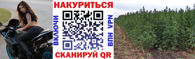 Каннабис VHQ  как найти   Нижнекамск 